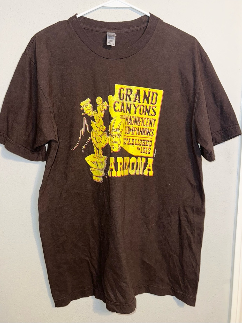 American Apparel Brown T Shirt Grand Canyon Graphic